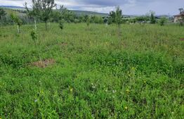  Exclusivitate ! Teren intravilan 2066mp , zona Sopor