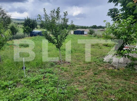 Teren de vânzare Sopor - 148808TV | BLITZ Cluj-Napoca | Poza2