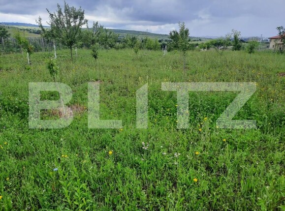 Teren de vânzare Sopor - 148808TV | BLITZ Cluj-Napoca | Poza1