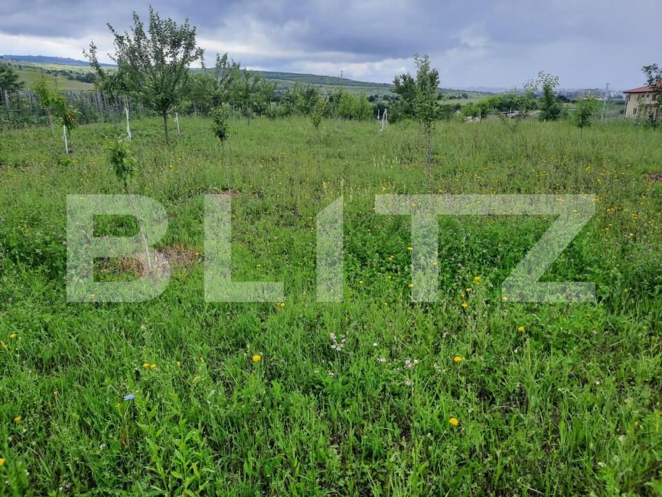 Teren de vânzare Sopor - 148808TV | BLITZ Cluj-Napoca | Poza2