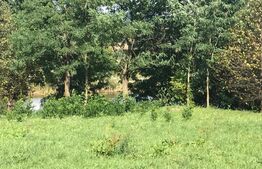 Proprietate cu potential pentru sali evenimente-resort-spa