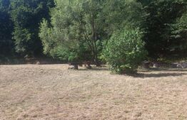 Proprietate cu potential pentru sali evenimente-resort-spa