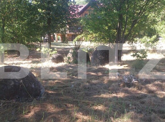 Spațiu comercial de vânzare Exterior Vest - 148813SVC | BLITZ Cluj-Napoca | Poza6