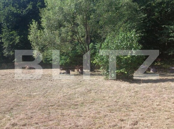 Spațiu comercial de vânzare Exterior Vest - 148813SVC | BLITZ Cluj-Napoca | Poza4