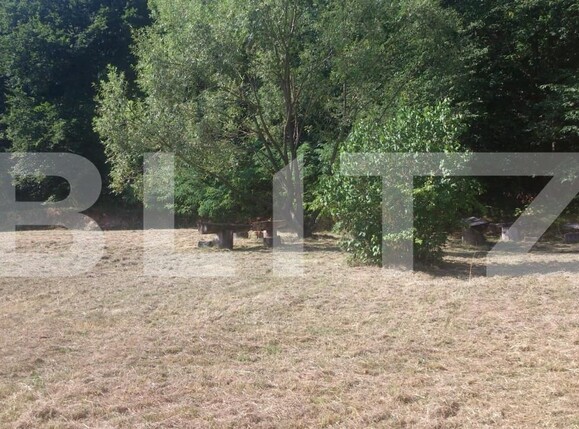 Spațiu comercial de vânzare Exterior Vest - 148813SVC | BLITZ Cluj-Napoca | Poza4