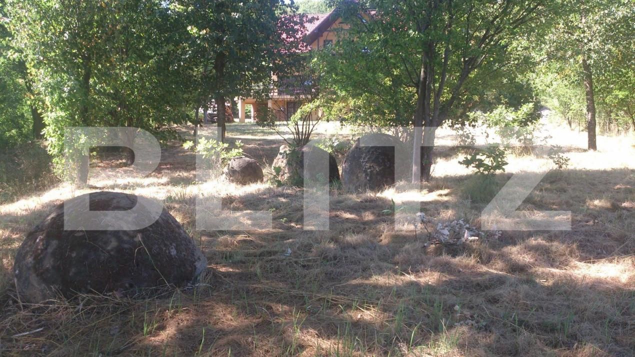 Spațiu comercial de vânzare Exterior Vest - 148813SVC | BLITZ Cluj-Napoca | Poza6