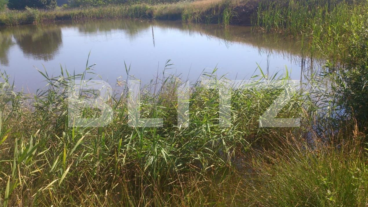 Spațiu comercial de vânzare Exterior Vest - 148813SVC | BLITZ Cluj-Napoca | Poza7