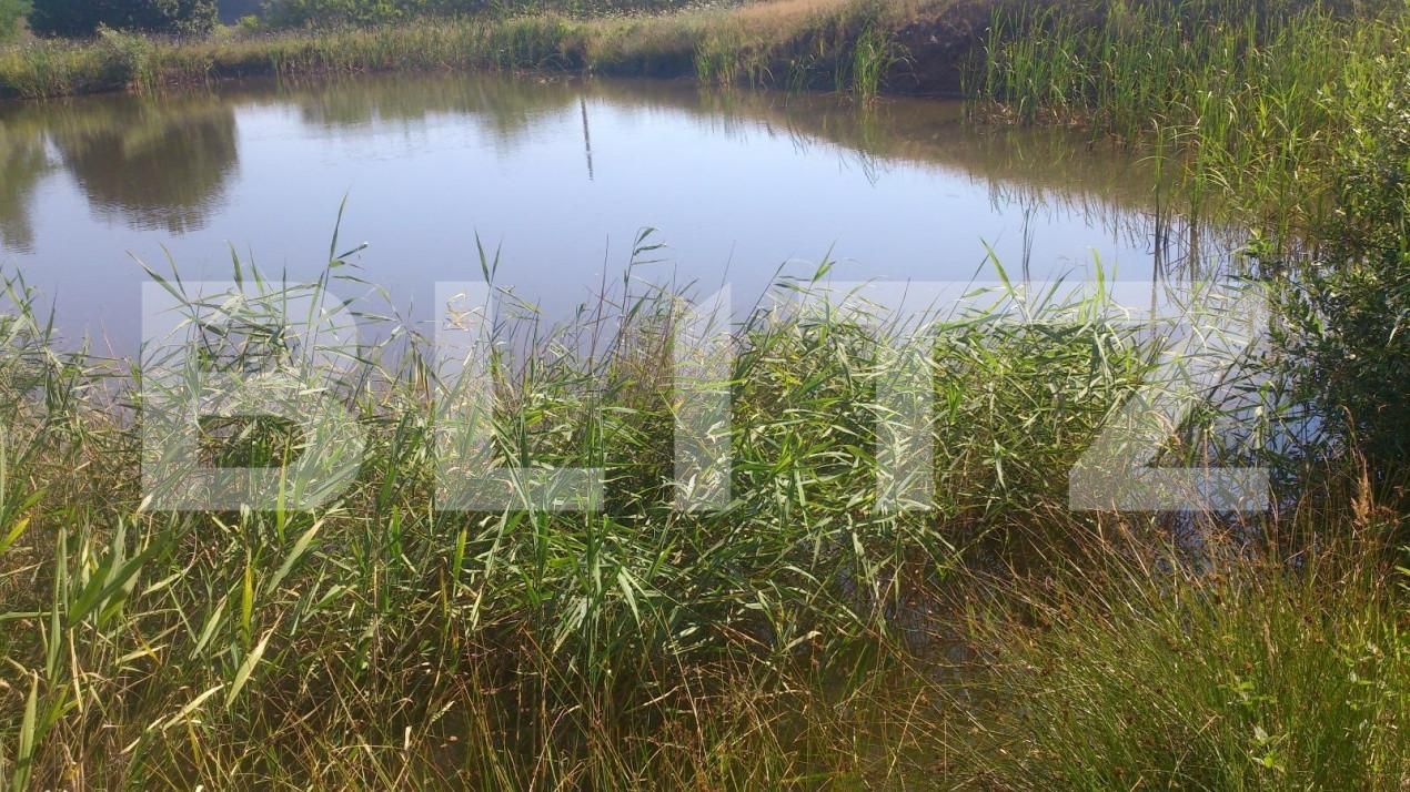 Spațiu comercial de vânzare Exterior Vest - 148813SVC | BLITZ Cluj-Napoca | Poza7