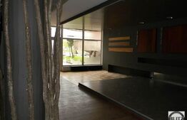 Pretabil activitate comerciala showroom! Strada Observatorului!