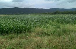 Teren in Iclod, suprafata 10000mp