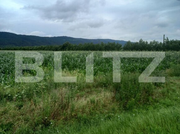 Teren de vânzare Exterior Est - 148816TV | BLITZ Cluj-Napoca | Poza2