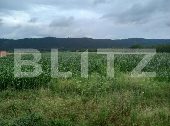 Teren de vânzare Exterior Est - 148816TV | BLITZ Cluj-Napoca | Poza3