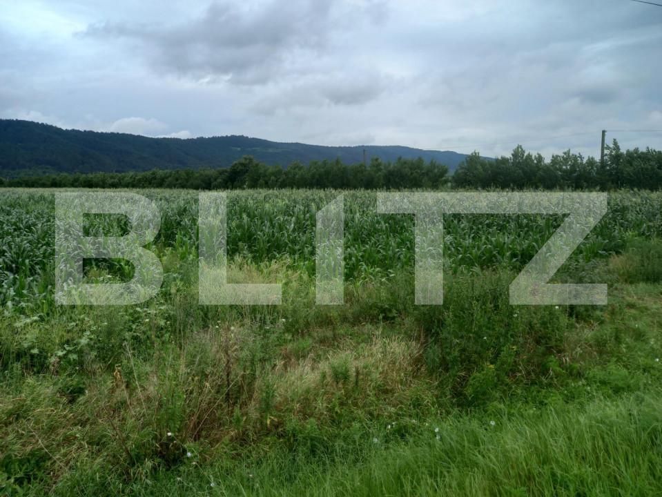 Teren de vânzare Exterior Est - 148816TV | BLITZ Cluj-Napoca | Poza2