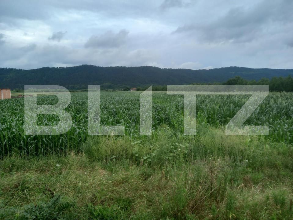 Teren de vânzare Exterior Est - 148816TV | BLITZ Cluj-Napoca | Poza3