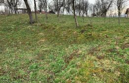 Casa cu teren 1900 mp, Jucu de Sus