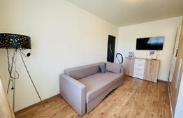 Apartament 1 camera, 30 mp, etaj intermediar, zona Porii 