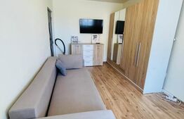 Apartament 1 camera, 30 mp, etaj intermediar, zona Porii 