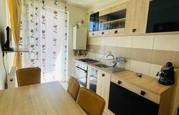 Apartament 1 camera, 30 mp, etaj intermediar, zona Porii 