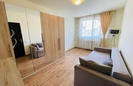 Apartament 1 camera, 30 mp, etaj intermediar, zona Porii 