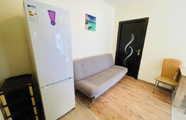 Apartament 1 camera, 30 mp, etaj intermediar, zona Porii 