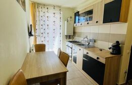 Apartament 1 camera, 30 mp, etaj intermediar, zona Porii 