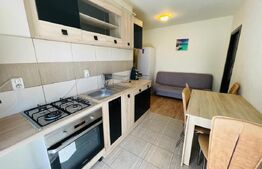 Apartament 1 camera, 30 mp, etaj intermediar, zona Porii 