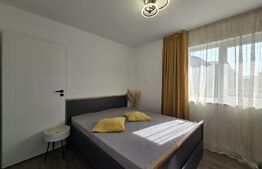 Duplex, mobilat si utilat lux, Dezmir