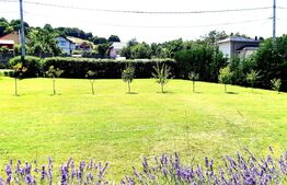 Casa cu design unic, 180 mp utili, 500 mp teren, Salicea