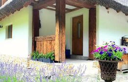 Casa cu design unic, 180 mp utili, 500 mp teren, Salicea