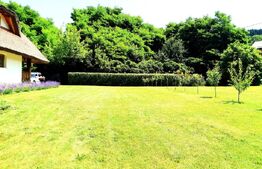 Casa cu design unic, 180 mp utili, 500 mp teren, Salicea