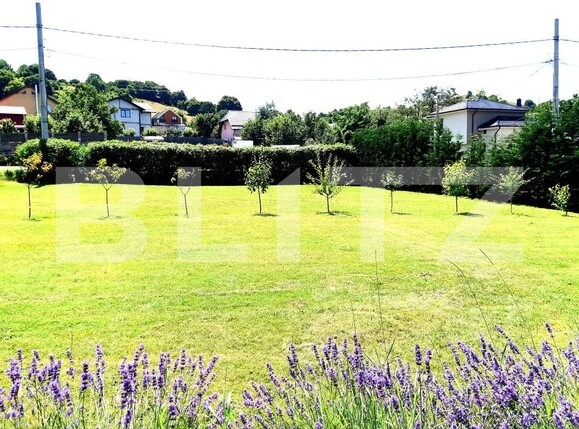 Casa de vânzare 4 camere Salicea - 148907CV | BLITZ Cluj-Napoca | Poza3