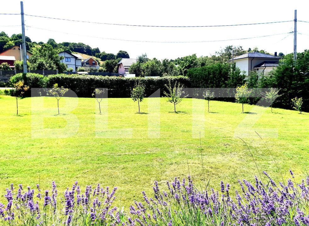 Casa de vânzare 4 camere Salicea - 148907CV | BLITZ Cluj-Napoca | Poza3