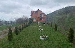 Casa la cheie, teren 2800 mp, Jucu de Sus