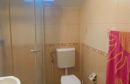 Casa la cheie, teren 2800 mp, Jucu de Sus