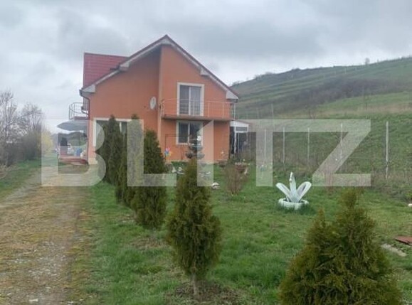 Casa de vânzare 6 camere Gadalin - 148909CV | BLITZ Cluj-Napoca | Poza13