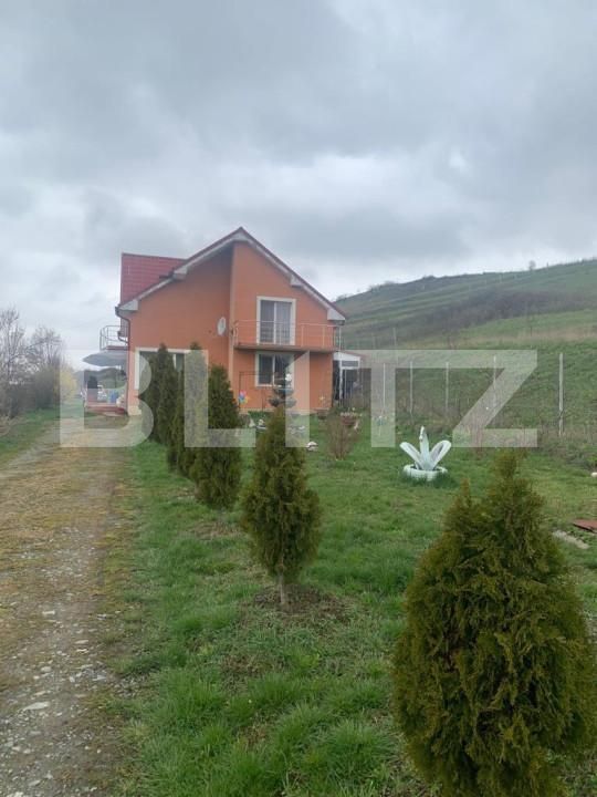 Casa de vânzare 6 camere Gadalin - 148909CV | BLITZ Cluj-Napoca | Poza13
