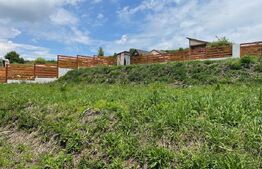 Casa individuala, teren de 720 mp, Chinteni