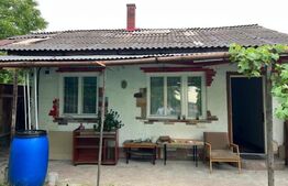 Casa 1 camera in centru, 42mp cu 128mp teren, Huedin