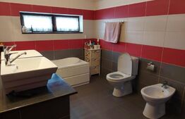 Casa individuala la cheie, Salicea