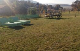 Casa individuala la cheie, Salicea