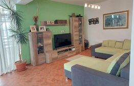 Casa individuala la cheie, Salicea