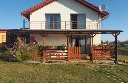 Casa individuala la cheie, Salicea