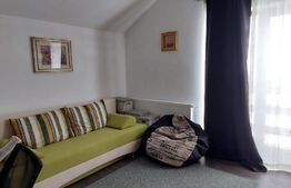 Casa individuala la cheie, Salicea