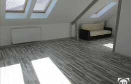 Mansarda cu 1 camera, 40 mp, imobil nou, partial mobilata, zona Profi!