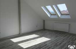 Mansarda cu 1 camera, 40 mp, imobil nou, partial mobilata, zona Profi!