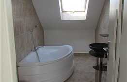 Mansarda cu 1 camera, 40 mp, imobil nou, partial mobilata, zona Profi!