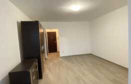 Garsoniera, 32 mp utili, recent renovata, zona strazii C-tin Brancusi