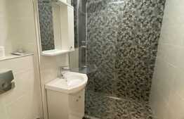 Garsoniera, 32 mp utili, recent renovata, zona strazii C-tin Brancusi