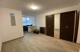 Garsoniera, 32 mp utili, recent renovata, zona strazii C-tin Brancusi