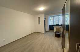 Garsoniera, 32 mp utili, recent renovata, zona strazii C-tin Brancusi